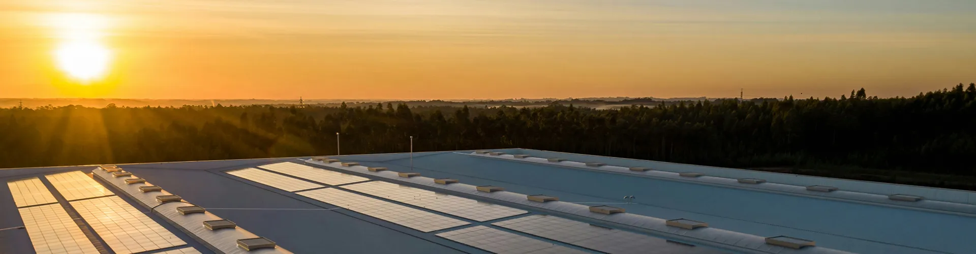 Top view of solar panels and a sunset 