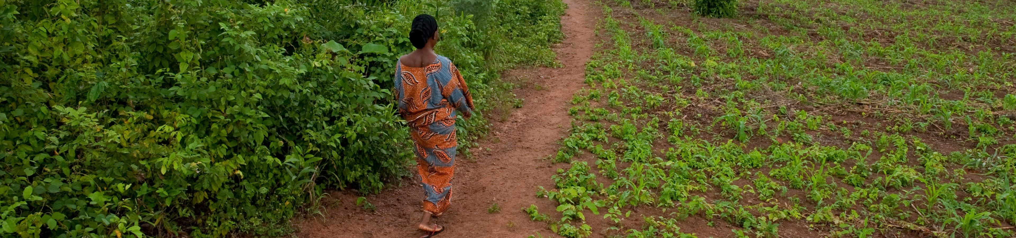 Lady walking in a field in Benin. Photo: Arne Hoel/World Bank