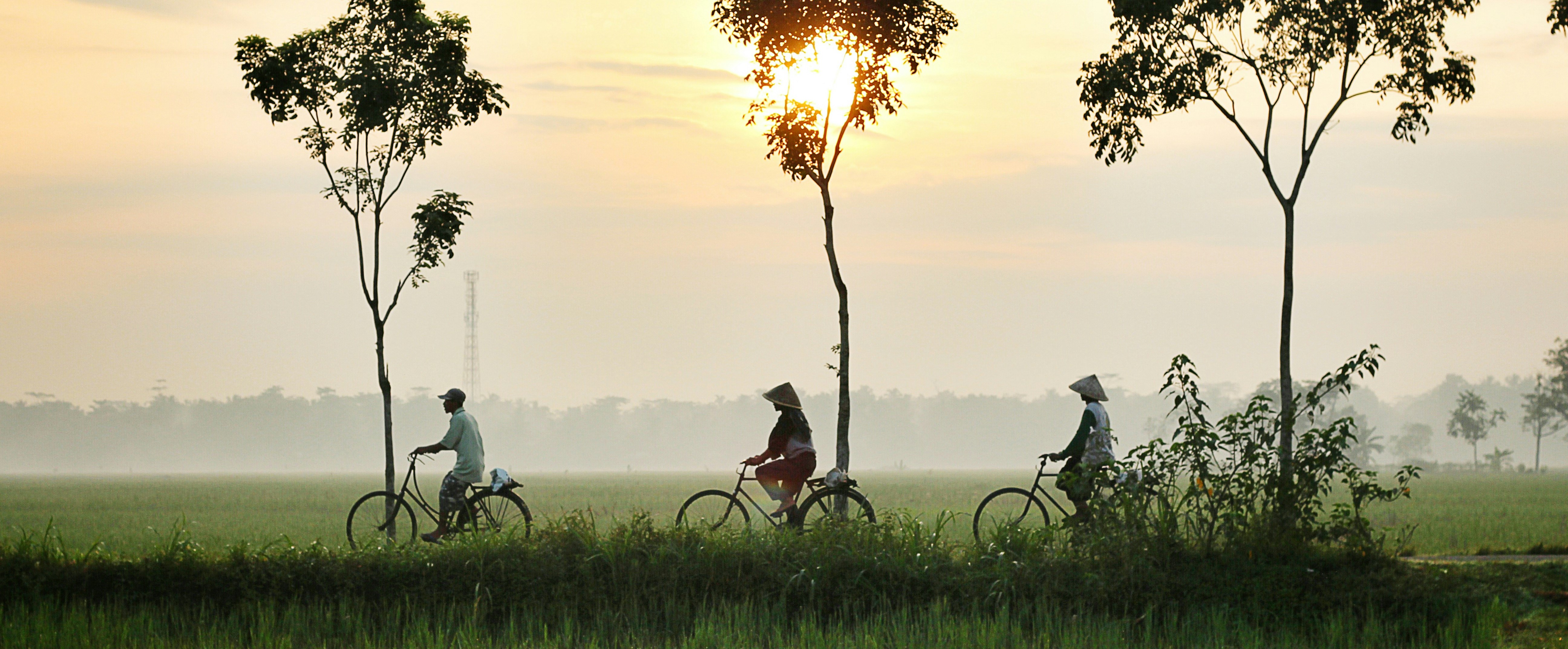 workers in bicycle