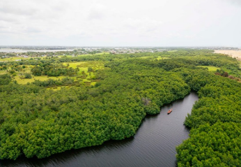 Benin forest and river landscape. Photo: Nathan Ochole/WACA Program/World Bank