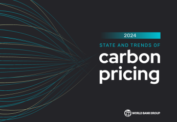 State and Trends of Carbon Pricing 2024