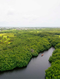 Benin forest and river landscape. Photo: Nathan Ochole/WACA Program/World Bank