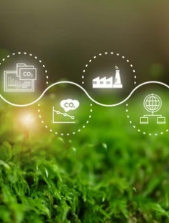 Icons in green background representing MRV. Photo: Parradee/Adobe Stock