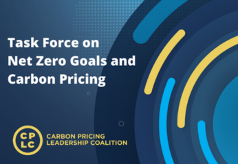 CPLC Task Force on  Net Zero Goals  and Carbon Pricing