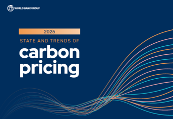 State and Trends of Carbon Pricing 2025 