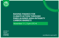 Green background  with white text Raising Finance for Climate Action Through Paris Aligned High-Integrity Carbon Markets