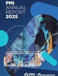PMI Annual Report 2025
