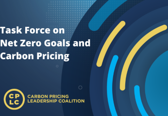 CPLC Task Force on Net Zero Goals and Carbon Pricing