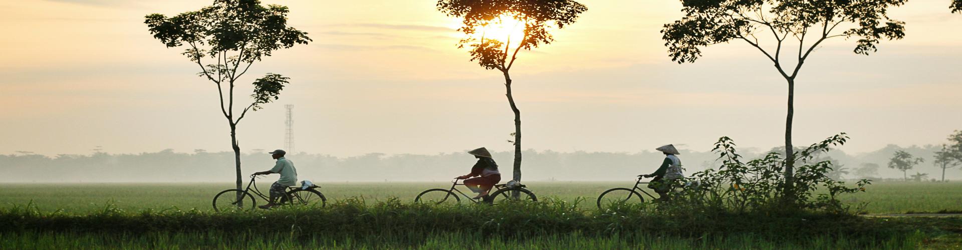 travel of workers workers in bicycle