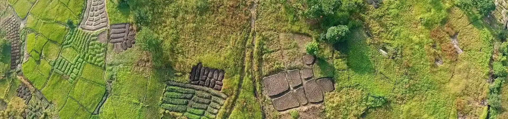 An agricultural area of land