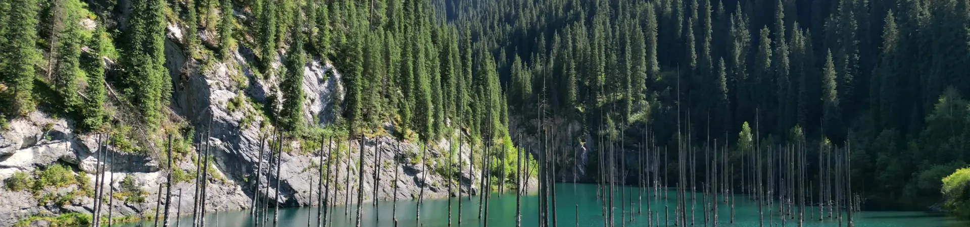 Mountains and trees near a lake