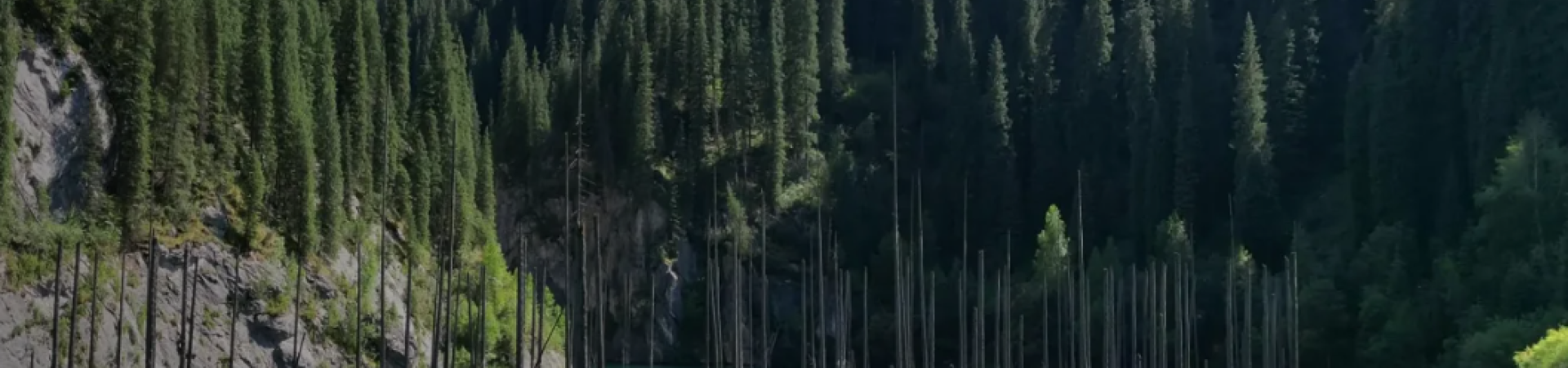 Mountain Lake Banner