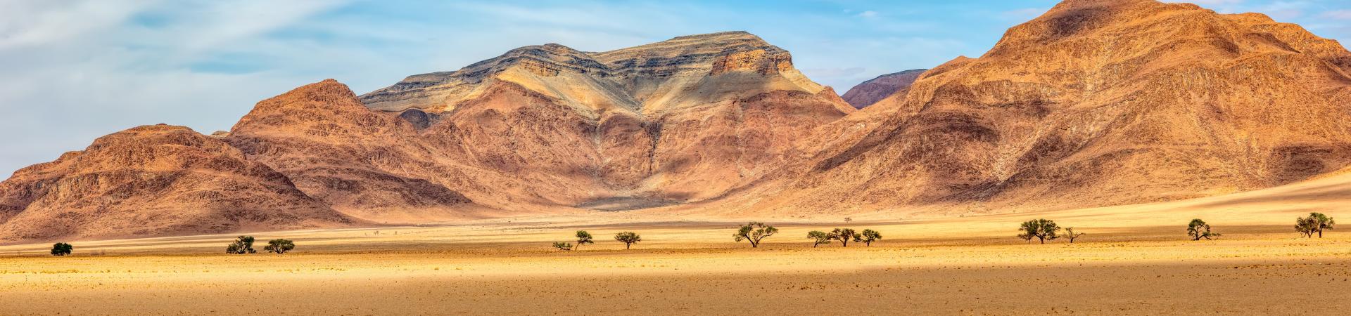 Central Namiabia sand desert landscape with trees. Photo:  ArtushFoto/AdobeStock