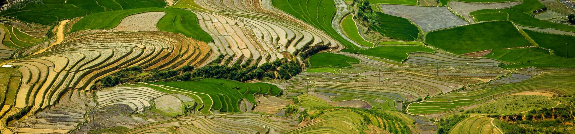 Rice terraces in Khau Pha, Mu Cang Chai, Yen Bai province, Viet Nam. Photo: World Bank