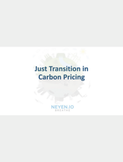 Just Transition in Carbon Pricing 