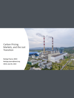 Carbon Pricing. Markets, and the Just Transition