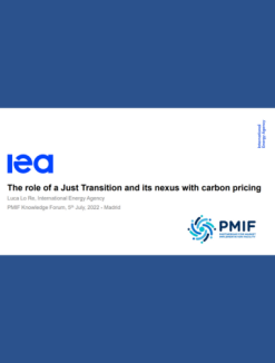The role of a Just Transition and its nexus with carbon pricing​