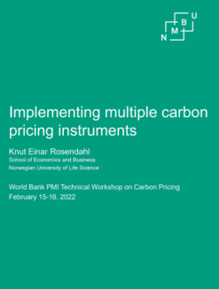 Implementing multiple carbon pricing instruments