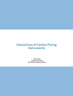 Interactions of Carbon Pricing Instruments