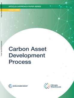 Carbon Asset Development Process - cover