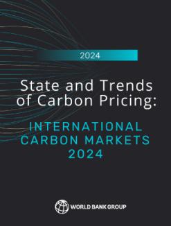 State and Trends of Carbon Pricing White Text