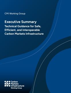 Technical Guidance: Carbon Markets Infrastructure - cover