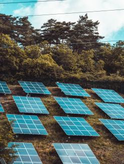 Image of solar panels (photo credit: unsplash)