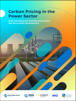 The cover image of carbon pricing sector report