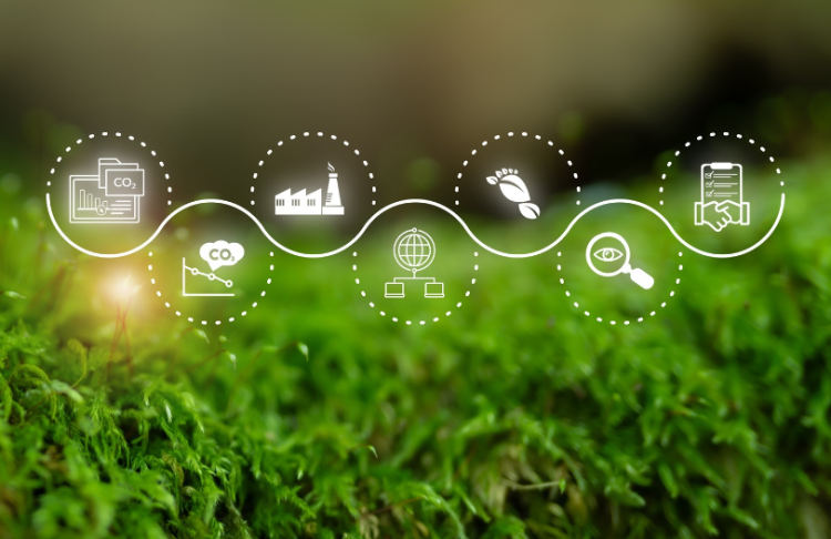 Icons in green background representing MRV. Photo: Parradee/Adobe Stock