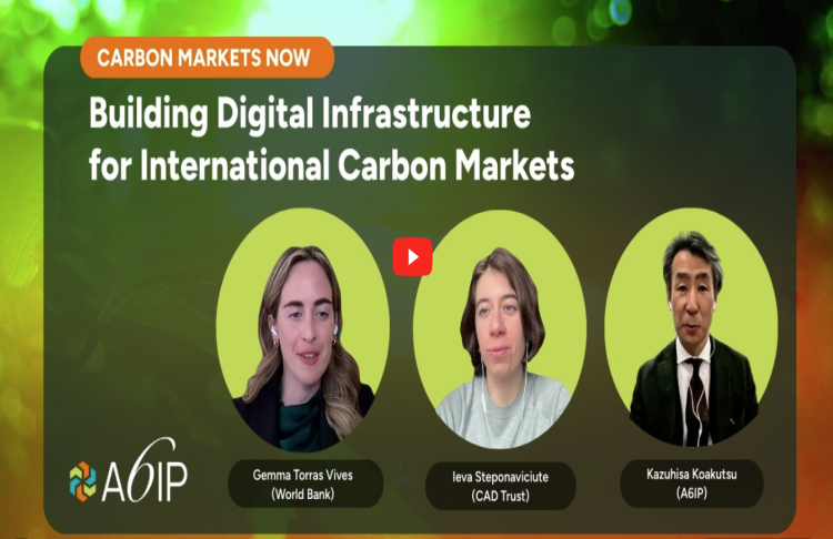 Blog on Carbon Markets Infrastructure