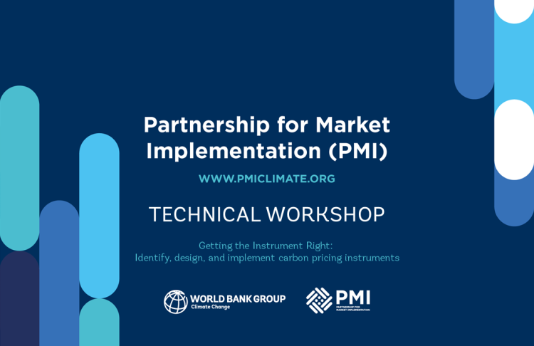 PMI Technical Workshop on Getting the Instrument Right PMI branded image for technical workshop