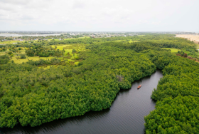 Benin forest and river landscape. Photo: Nathan Ochole/WACA Program/World Bank