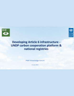 Developing Article 6 infrastructure cover Developing Article 6 infrastructure - UNDP carbon cooperation platform & national registries