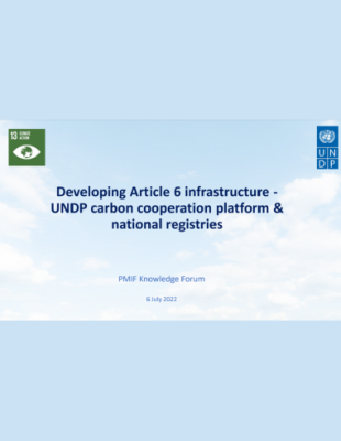 Developing Article 6 infrastructure - ​UNDP carbon cooperation platform & national registries​