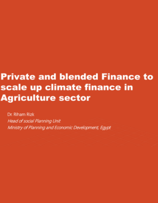 Private and blended Finance to scale up climate finance in Agriculture sector Private and blended Finance to scale up climate finance in Agriculture sector