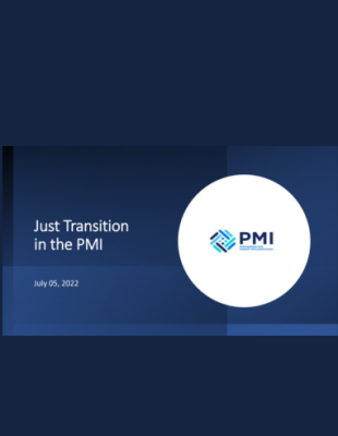 Transition ​in the PMI