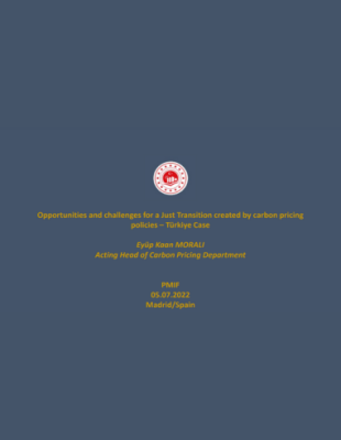 Opportunities and challenges for a Just Transition created by carbon pricing policies–Türkiye Case cover of Türkiye Case