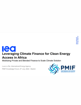 Leveraging Climate Finance for Clean Energy