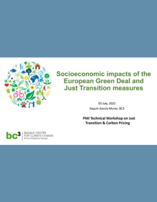 Socioeconomic impacts of the European Green Deal and Just Transition measures​