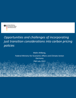 Opportunities and challenges cover Opportunities and challenges
