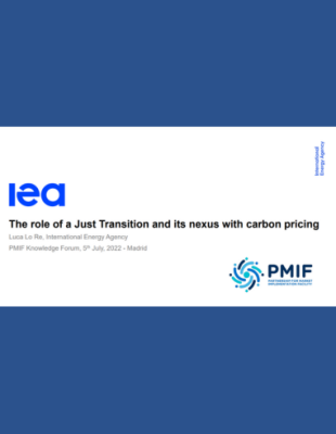 The role of a Just Transition and its nexus with carbon pricing​