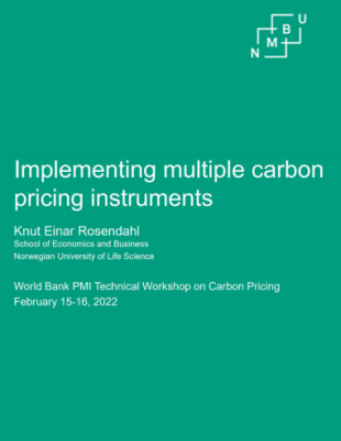 Implementing multiple carbon pricing instruments