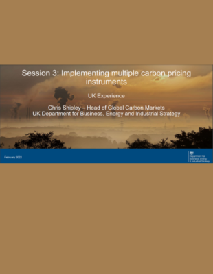 UK Experience on implementing multiple carbon pricing instruments