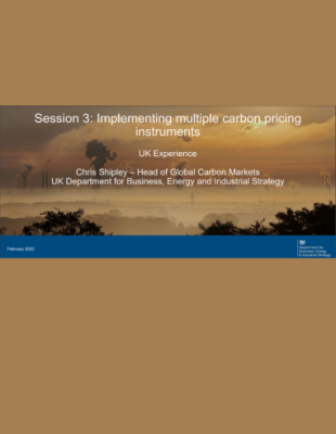 UK Experience on implementing multiple carbon pricing instruments UK Experience on implementing multiple carbon pricing instruments