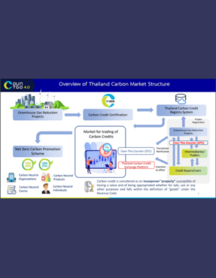 Thailand Carbon Market Structure