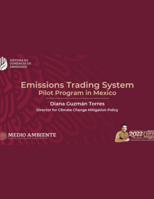 Emissions Trading System Pilot Program in Mexico Emissions Trading System Pilot Program in Mexico