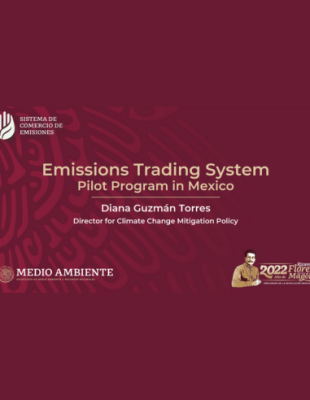 Emissions Trading System Pilot Program in Mexico