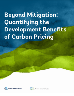 Beyond Mitigation_Cover