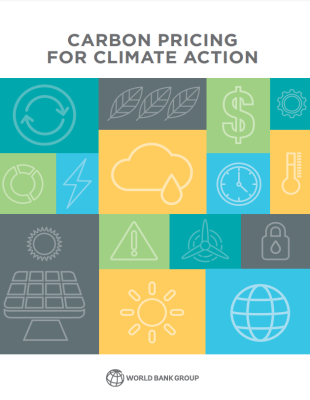 Carbon Pricing for Climate Action