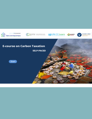 E-Course on Carbon Taxation